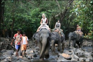 shanti-elephant-sanctuary