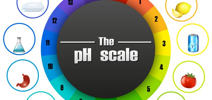 pH Scale